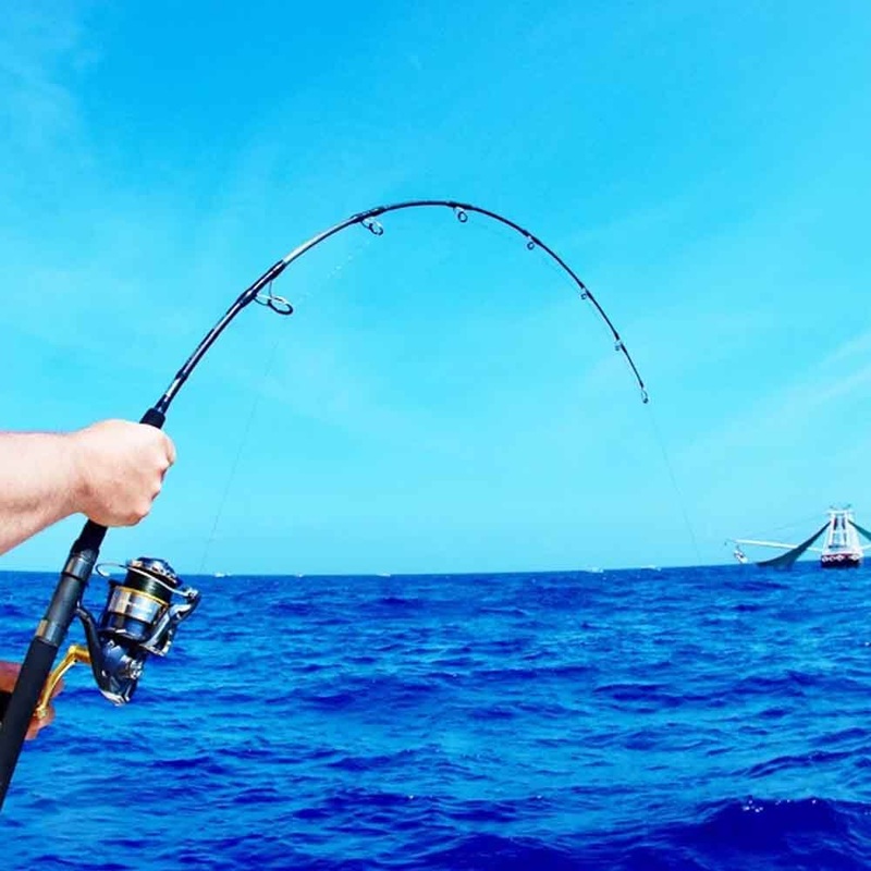 Nomad NDT Heavy Jigging Spinning Rod NJS