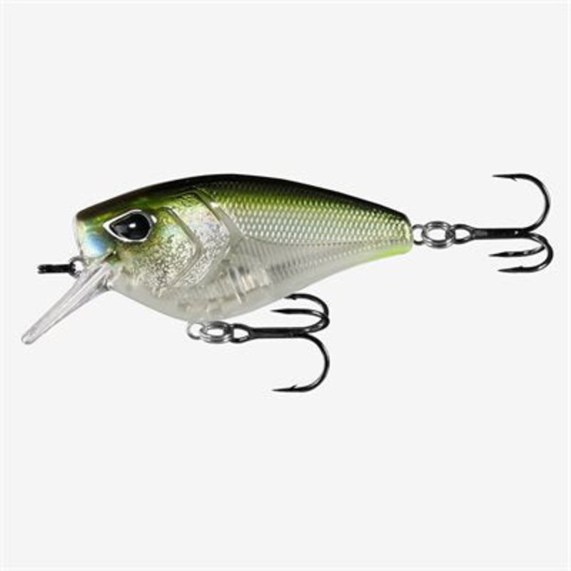13 Fishing Warthog 70